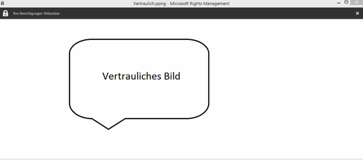 Screenshot RMS-geschützte Bilddatei geöffnet mit der RMS-Freigabeanwendung